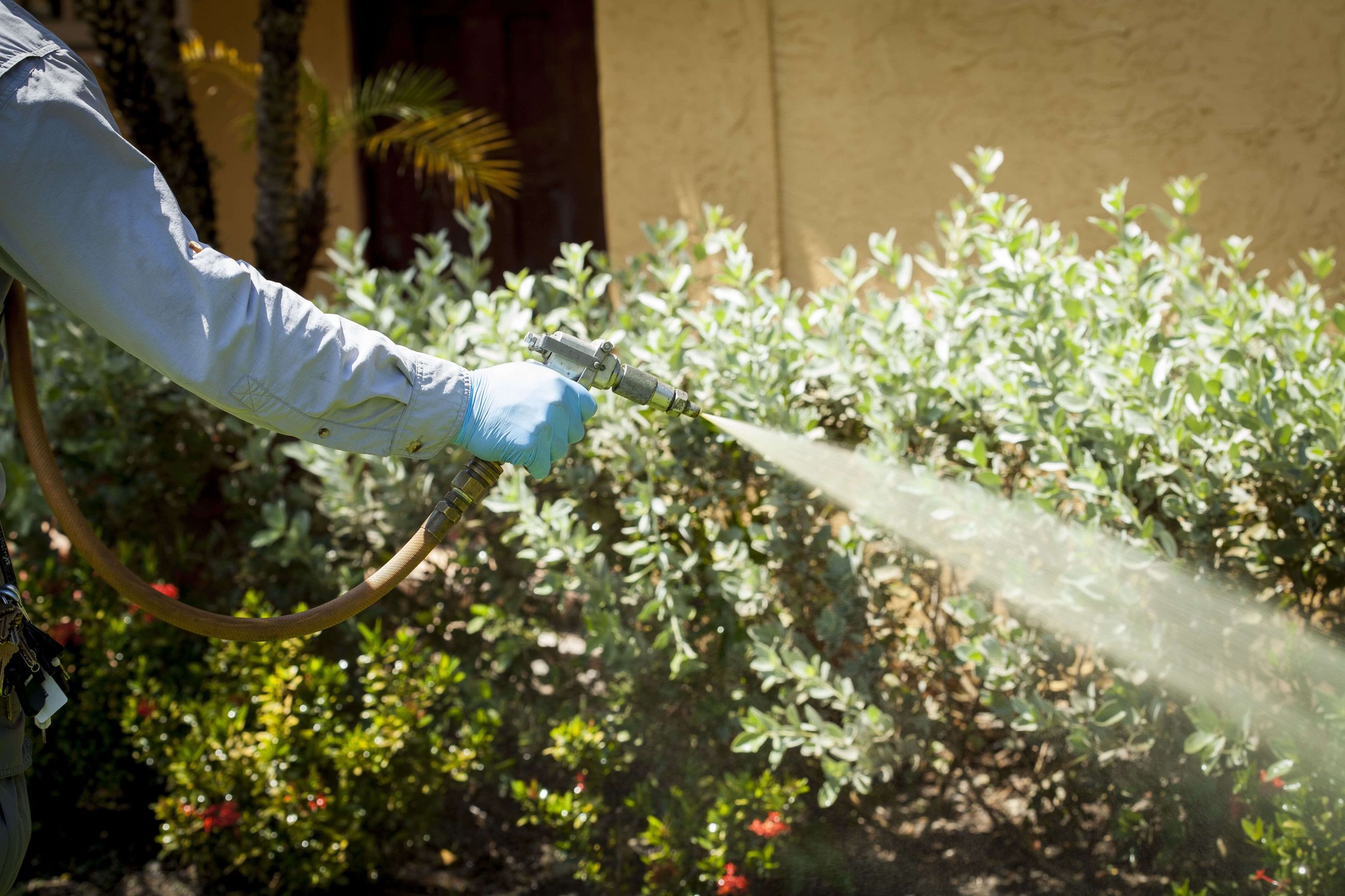 Longevity and Maintenance of Sprinkler Valves